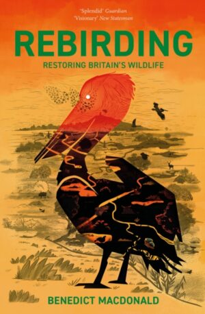 Rebirding : Restoring Britain's Wildlife