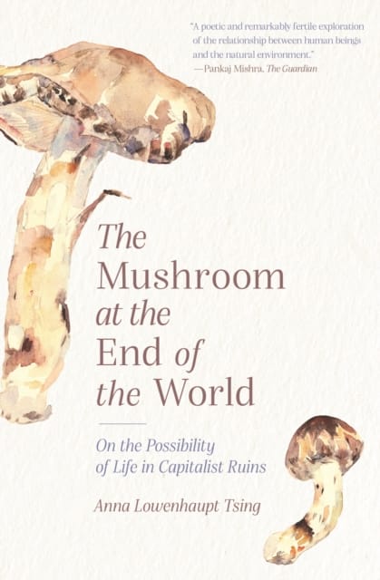 The Mushroom at the End of the World : On the Possibility of Life in Capitalist Ruins