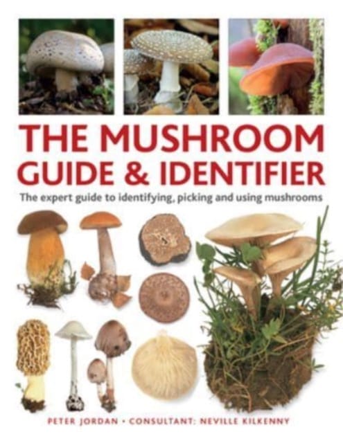 The Mushroom Guide & Identifer : An expert manual for identifying, picking and using edible wild mushrooms found in the British Isles