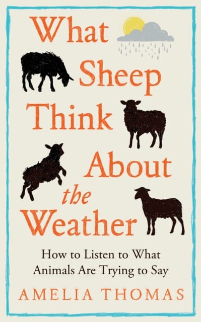 What Sheep Think About the Weather : How to listen to what animals are trying to say - The perfect stocking filler for the animal lover in your life