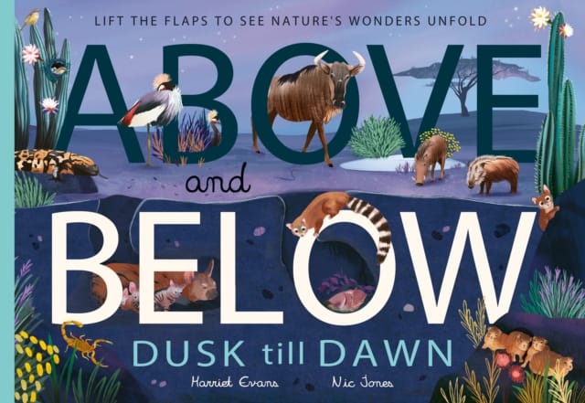 Above and Below: Dusk till Dawn : Lift the flaps to see nature's wonders unfold